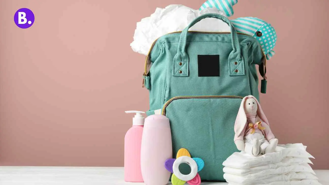 Best diaper bag for twins