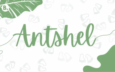 Antshel Name Meaning, Origin and Popularity