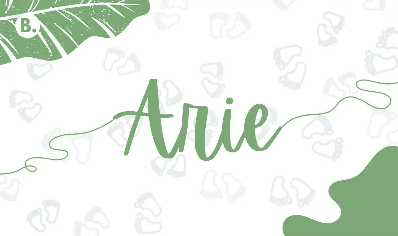 Arie name meaning