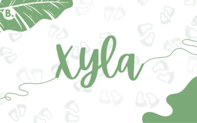 Xyla Name Meaning, Origin and Popularity