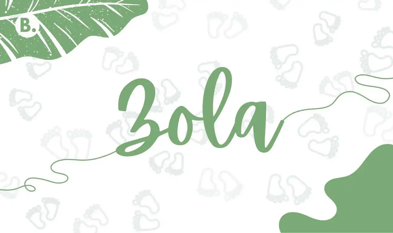Zola name meaning