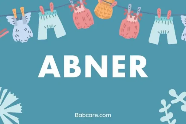 Abner name meaning