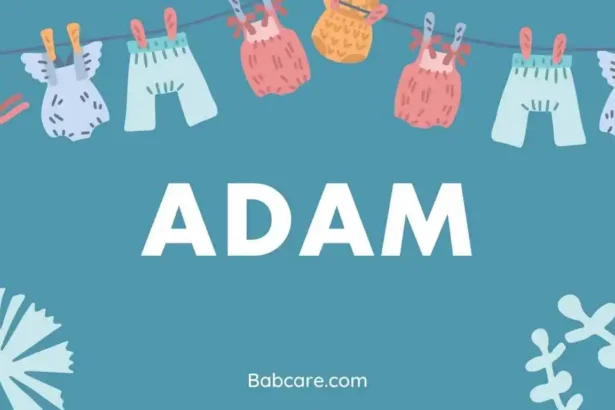 Adam name meaning