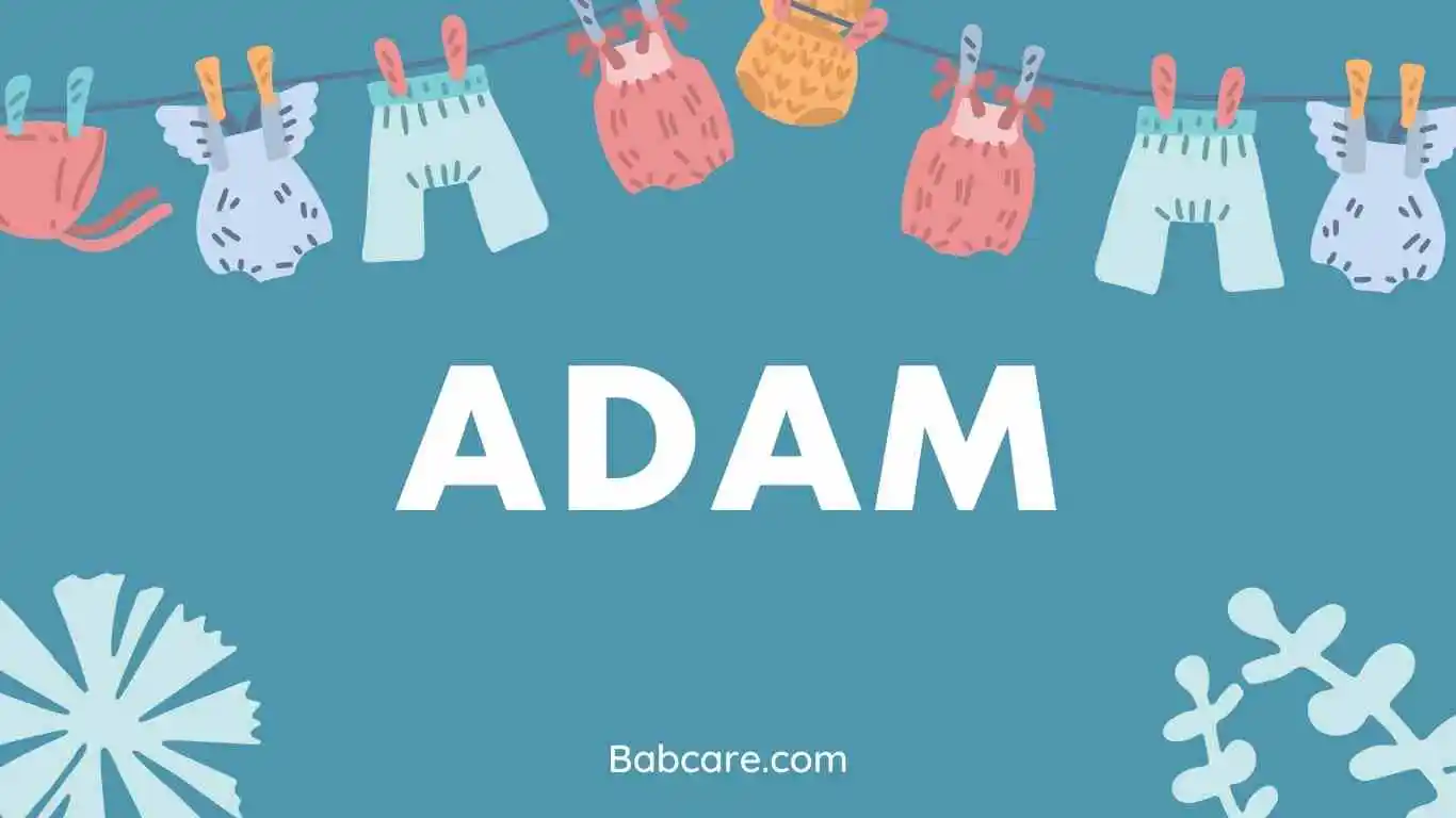 Adam name meaning