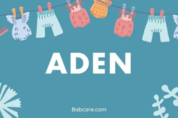 Aden name meaning