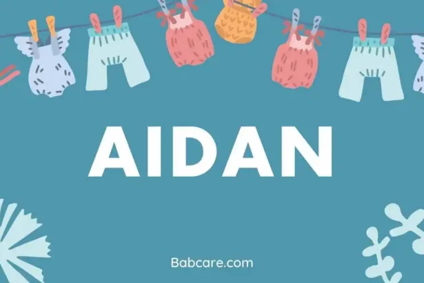 Aidan name meaning