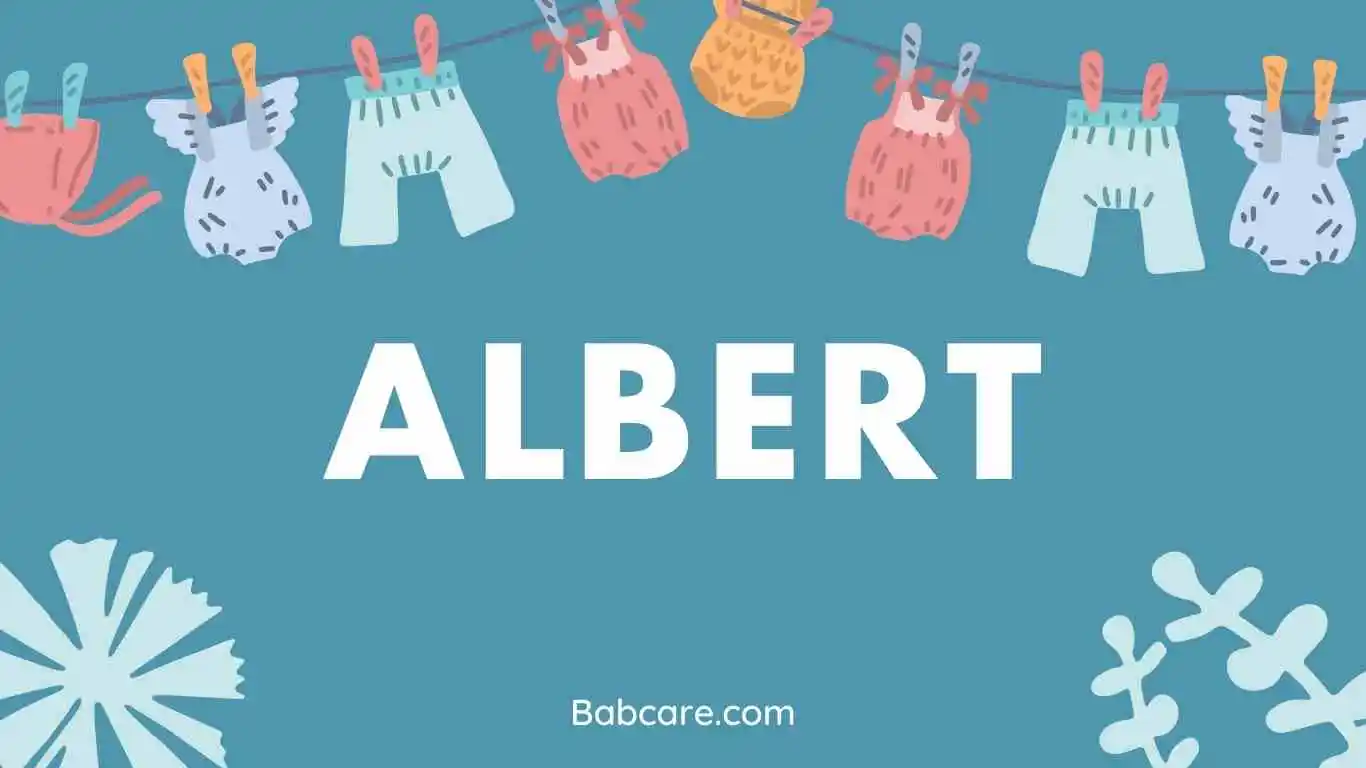 Albert name meaning