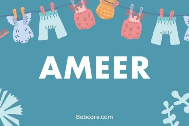 Ameer name meaning