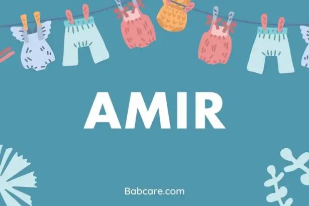 Amir name meaning