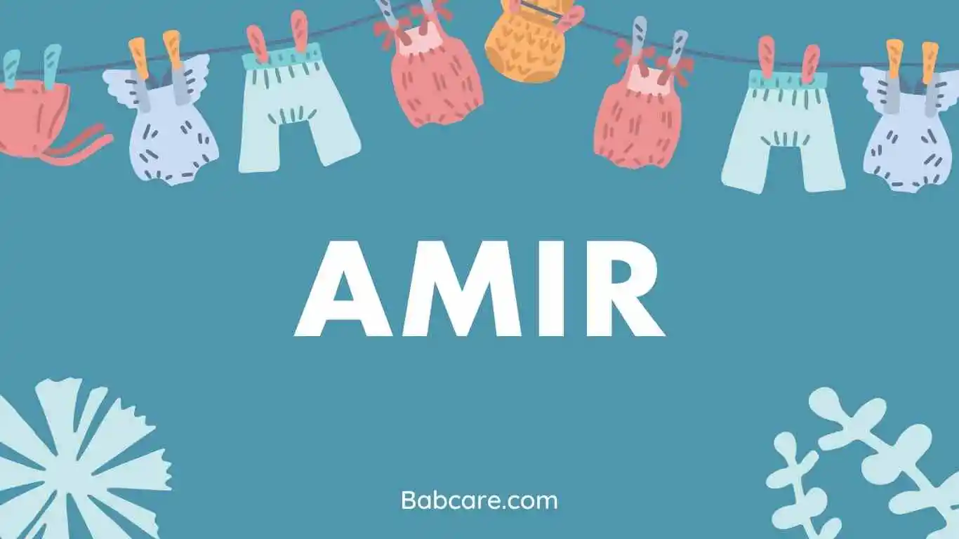 Amir name meaning