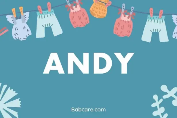 Andy name meaning