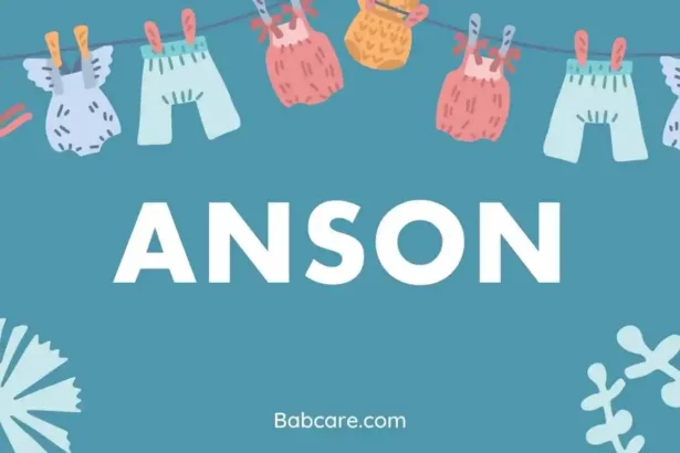 Anson name meaning