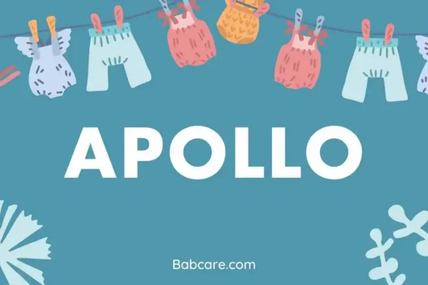 Apollo name meaning