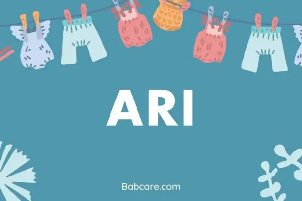 Ari name meaning