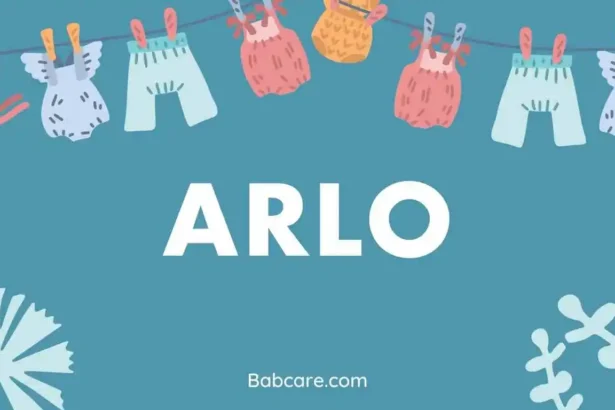 Arlo name meaning