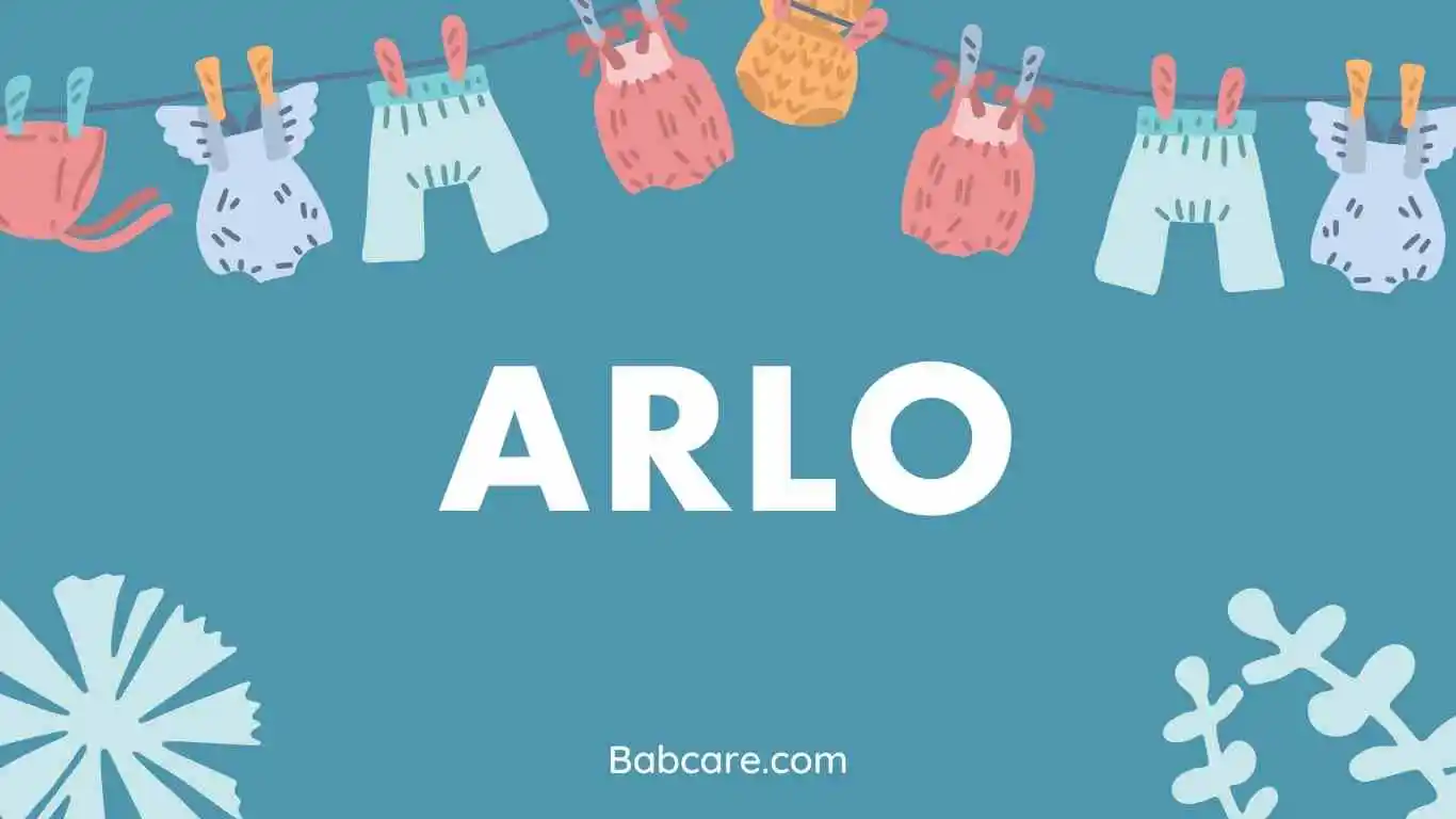 Arlo name meaning