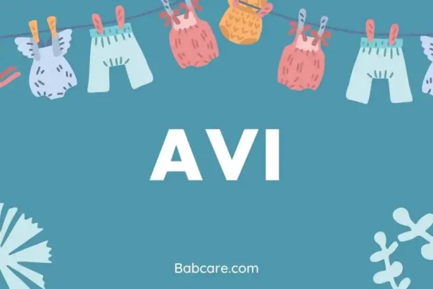 Avi name meaning