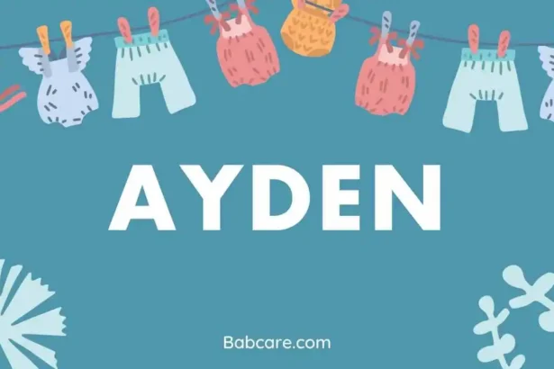 Ayden name meaning