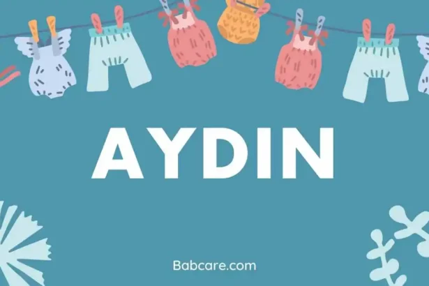 Aydin name meaning