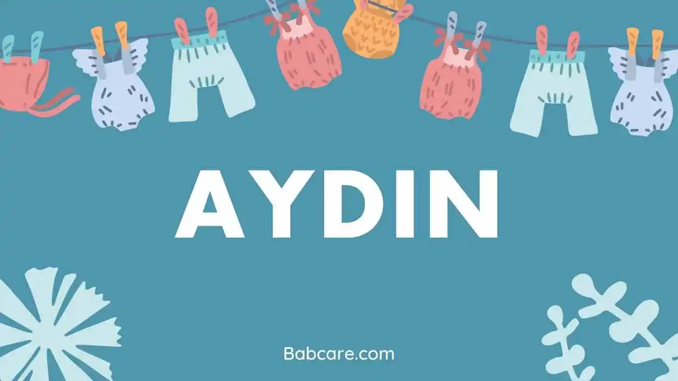 Aydin name meaning