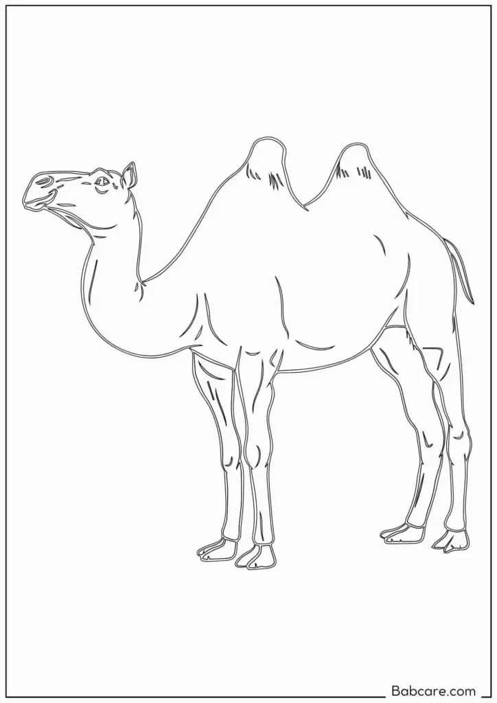 Simple Camel coloring page