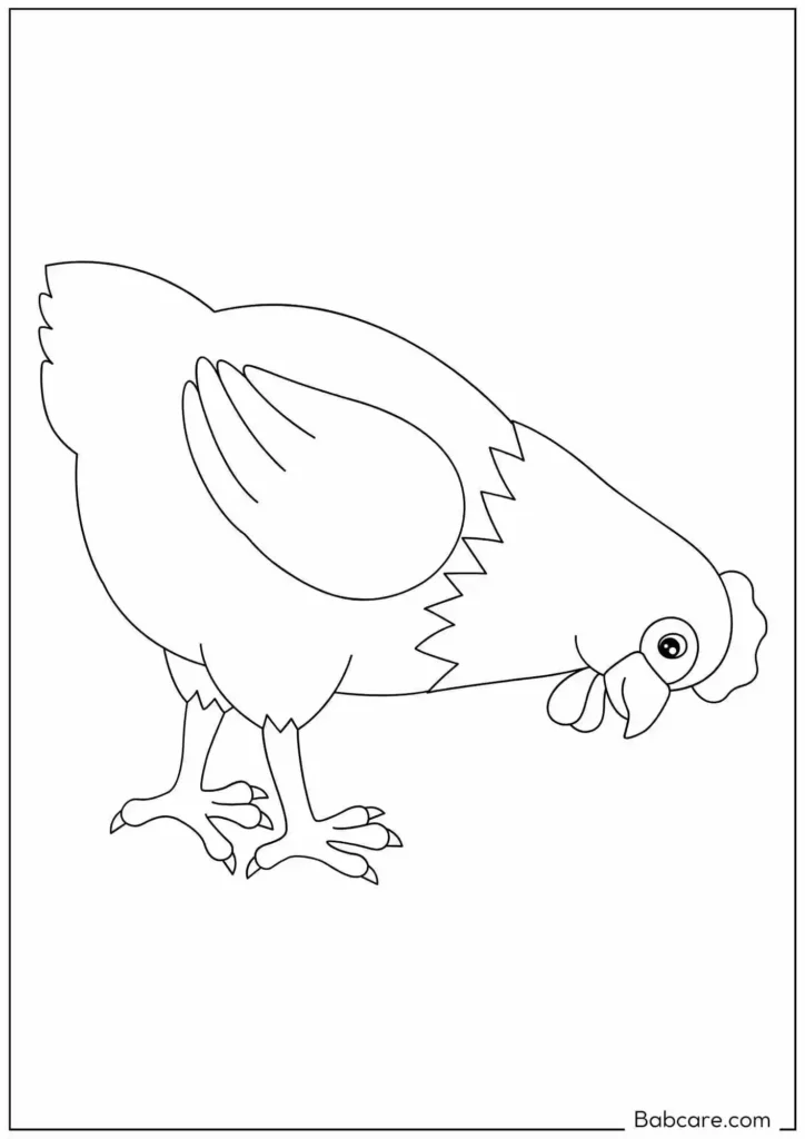 Chicken Bending Toward To Ground Simple Outline to Color