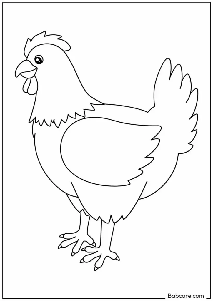 Chicken Simple Outline to Color