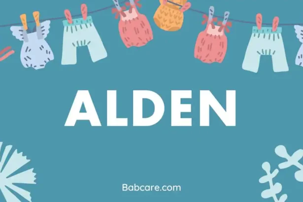 Alden name meaning