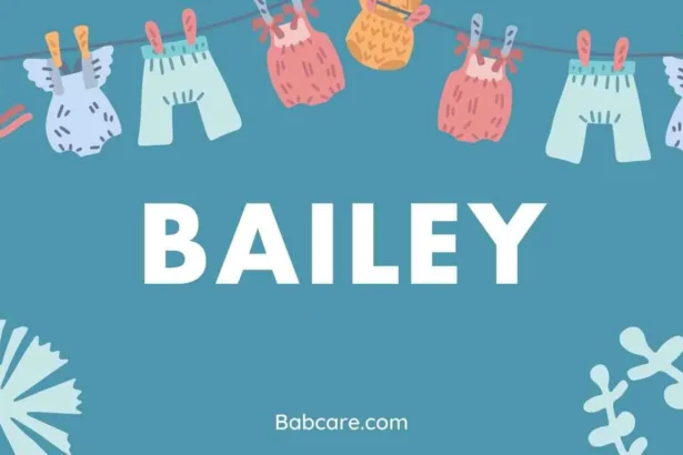 Bailey Name Meaning