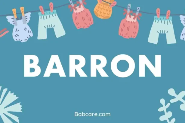 Barron Name Meaning