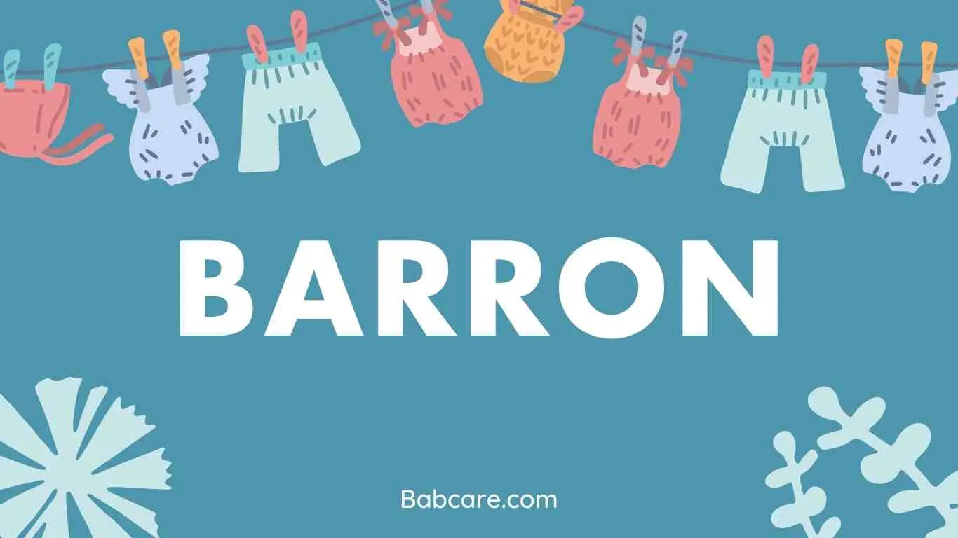 Barron Name Meaning