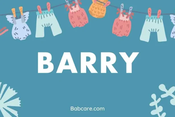 Barry Name Meaning