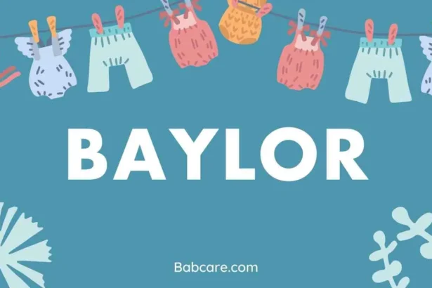 Baylor Name Meaning