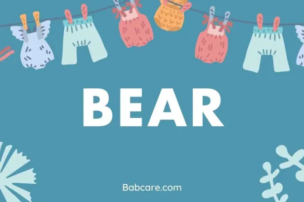 Bear Name Meaning