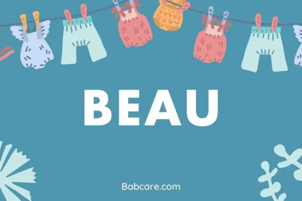 Beau Name Meaning