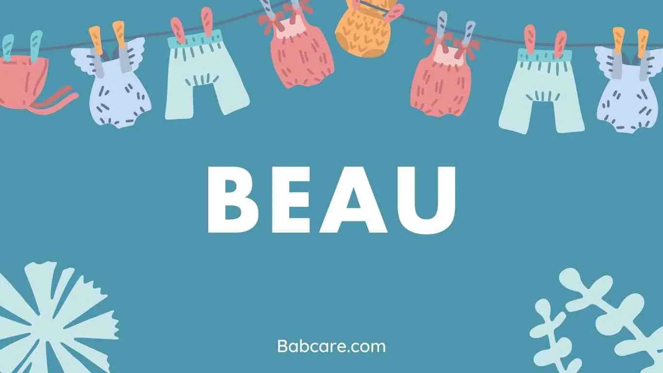 Beau Name Meaning
