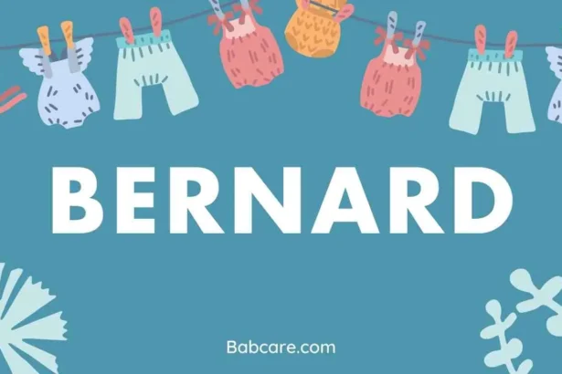 Bernard Name Meaning