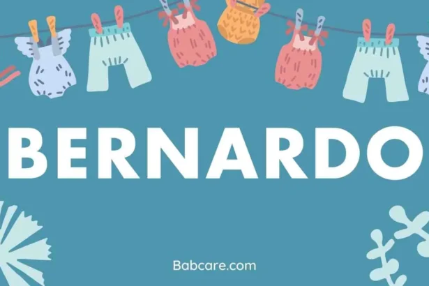 Bernardo Name Meaning