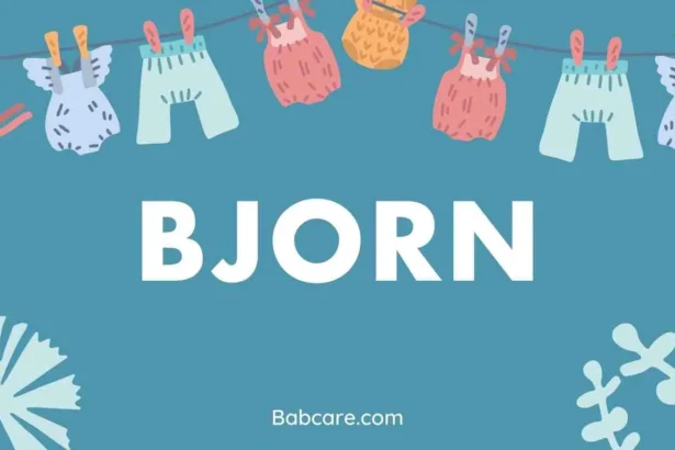 Bjorn Name Meaning