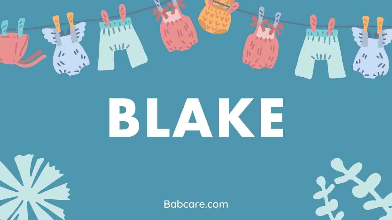 Blake Name Meaning