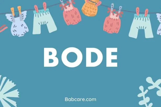 Bode Name Meaning