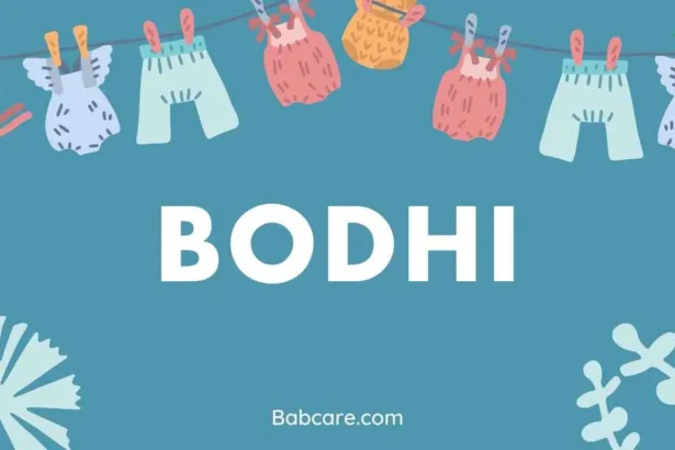 Bodhi Name Meaning