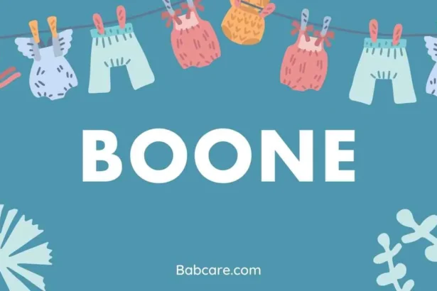 Boone Name Meaning