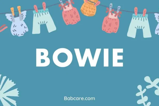 Bowie Name Meaning