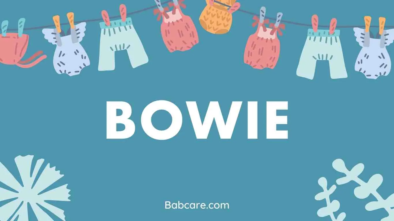 Bowie Name Meaning