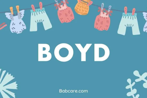 Boyd Name Meaning