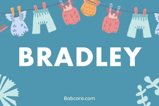 Bradley Name Meaning