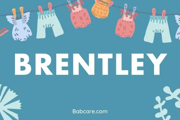 Brentley Name Meaning