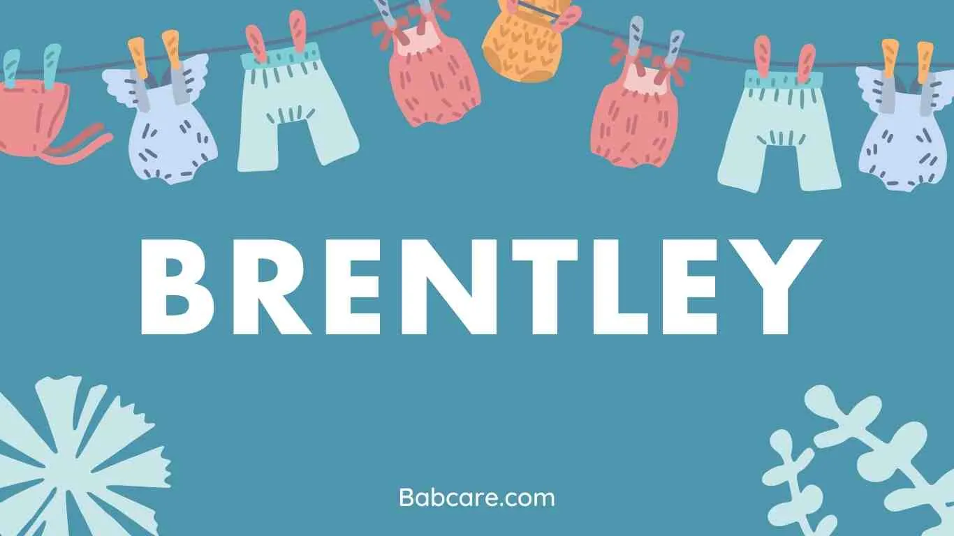 Brentley Name Meaning