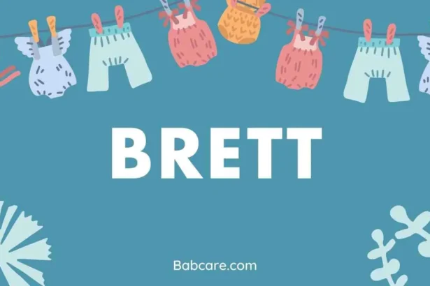 Brett Name Meaning